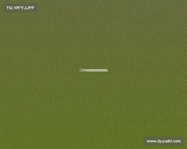 CBA总决赛第三战浙江广厦再下一城